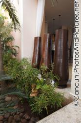 Tall brown plants at Ocean Coral & Turquesa lobby.jpg