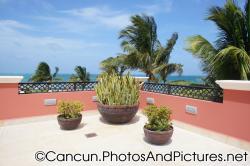 Tropical plants in round bowl plants at patio of Ocean Coral & Turquesa lobby.jpg
