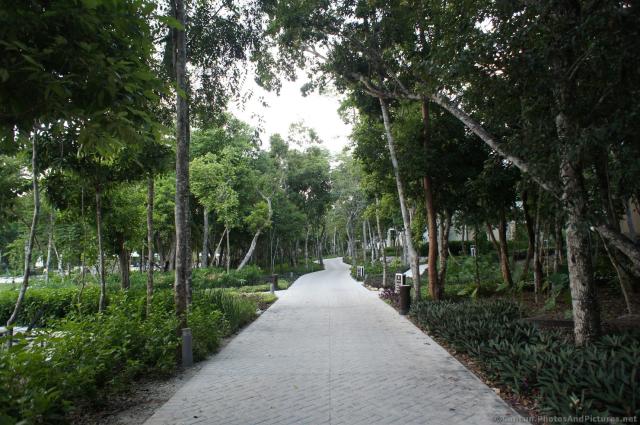 Walking path at Gran Bahia Principe Sian Kaan.jpg