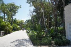Walkway near the Bahia Principe Sian Kaan lobby.jpg