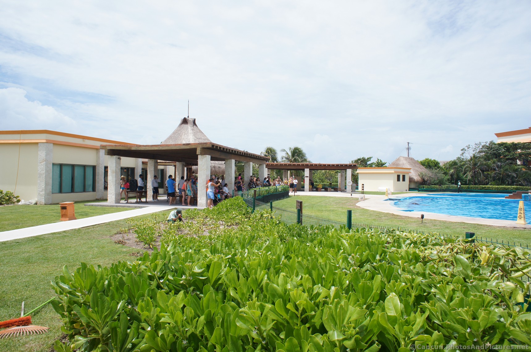 Dolphinarius area of Grand Bahia Principe resort.jpg