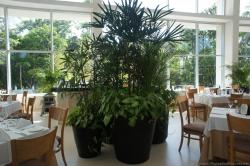 Large planters and plants inside Gran Bahia Principe Sian Kaan Yal-Ku Restaurant.jpg