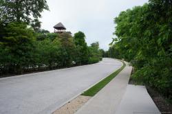 Road right outside of TAO Wellness Center at Grand Bahia Principe Sian Kaan.jpg