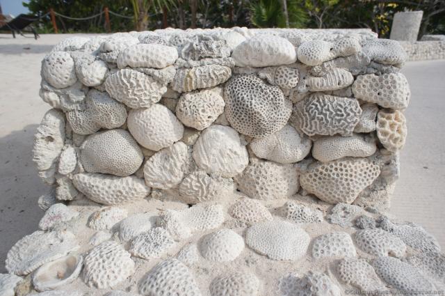 Shell wall at Gran Bahia Principe Sian Kaan private beach.jpg