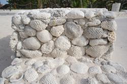 Shell wall at Gran Bahia Principe Sian Kaan private beach.jpg