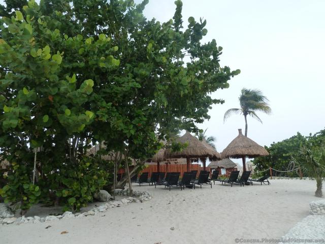 Tree and beach chairs at Gran Bahia Principe Sian Kaan private beach.jpg