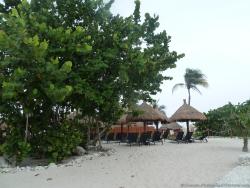 Tree and beach chairs at Gran Bahia Principe Sian Kaan private beach.jpg