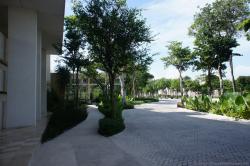Trees and green plants right outside of Gran Bahia Principe Sian Kaan lobby.jpg