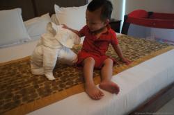Darwin looks at elephant towel animal on bed at Gran Bahia Principe Sian Kaan.jpg