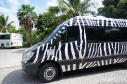 Zebra transport van near Gran Bahia Principe Akumal.jpg