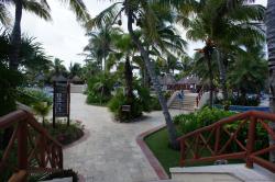 Palm tree lined walkways surrounded by pools at Gran Bahia Principe Akumal.jpg