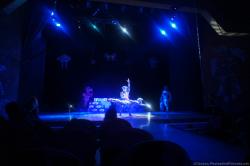 Performers on stage in cat costumes at Gran Bahia Principe Akumal theater show.jpg