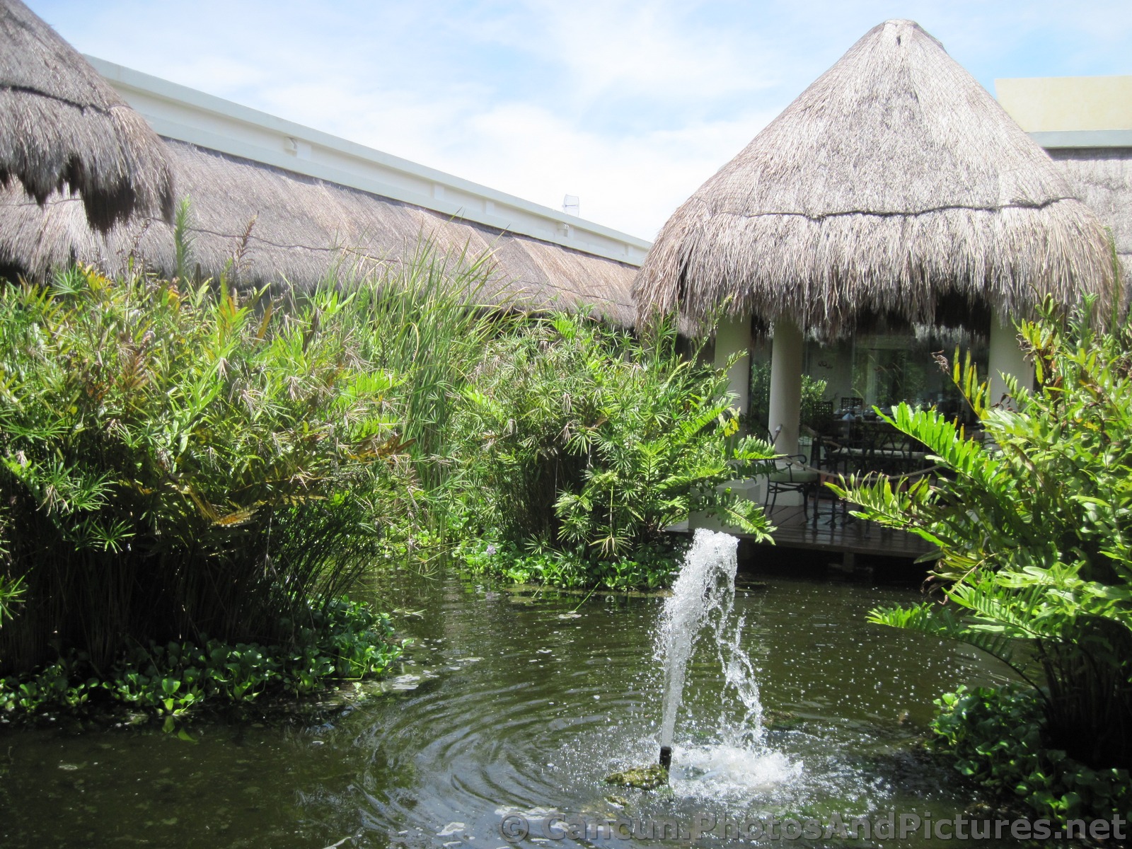 Water fountain in a pond at Grand Palladium Kantenah.jpg