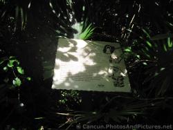 Cacbe Camino Blanco White Wey Road by Mayans Info Plaque at Grand Palladium Kantenah.jpg