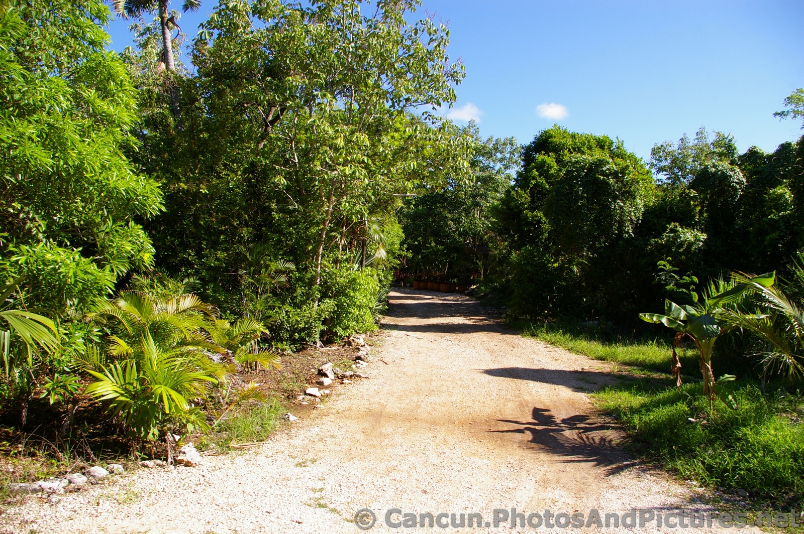 Dirt pathway at Grand Palladium Kantenah in Riviera Maya.jpg