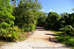 Dirt pathway at Grand Palladium Kantenah in Riviera Maya.jpg