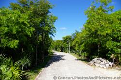 Paved pathway at Grand Palladium Kantenah.jpg