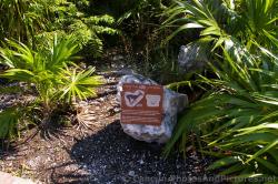 White Tail Deer sign at Grand Palladium White Sand.jpg