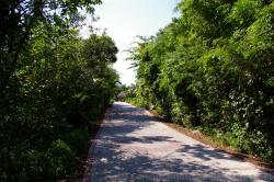 Driving and Walking path at Grand Palladium White Sand.jpg