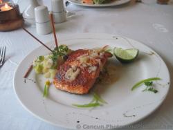 Salmon with Cous Cous at Mare Nostrum Restaurant at Grand Palladium Colonial.jpg