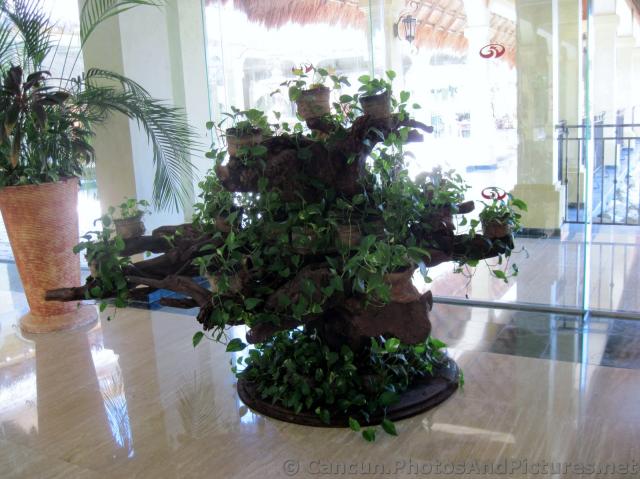 Tree-like Multi-Planter inside Grand Palladium Riviera Buffet Restaurant.jpg