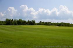 Number 7 tee at Playa Mujeres golf course.jpg