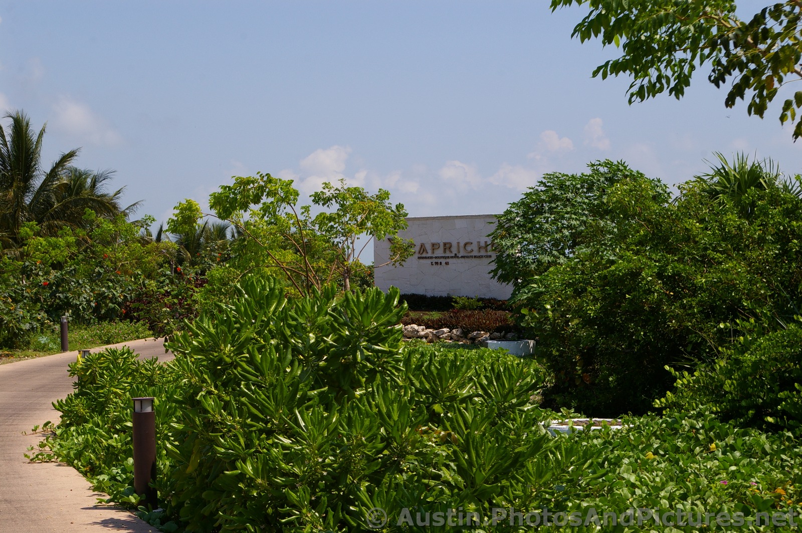 Playa Mujeres Capricho residences area.jpg