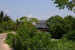 Playa Mujeres Capricho residences area.jpg