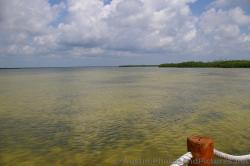 Playa Mujeres lagoon.jpg