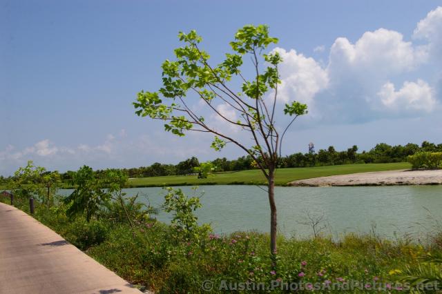 Playa Mujeres lake area and golf course.jpg