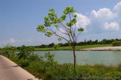 Playa Mujeres lake area and golf course.jpg