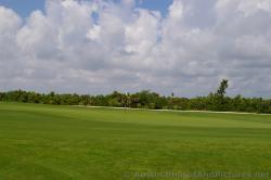 Putting green area at the Playa Mujeres golf course.jpg