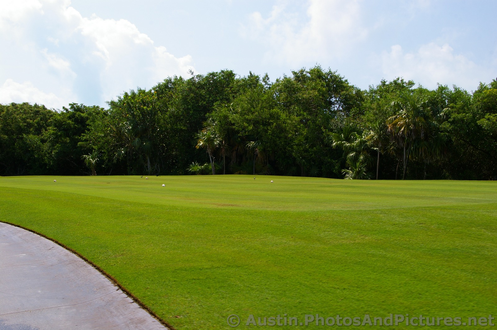 Shells on the Playa Mujeres golf course.jpg