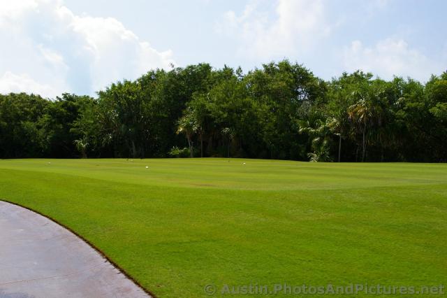 Shells on the Playa Mujeres golf course.jpg