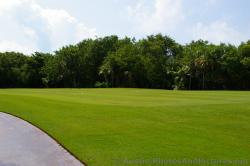 Shells on the Playa Mujeres golf course.jpg