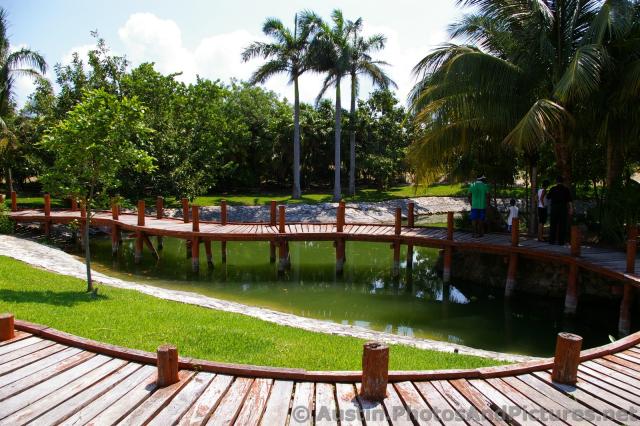 Curving bridge platform at Playa Mujeres .jpg