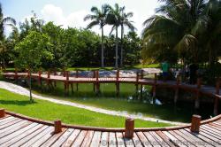 Curving bridge platform at Playa Mujeres .jpg