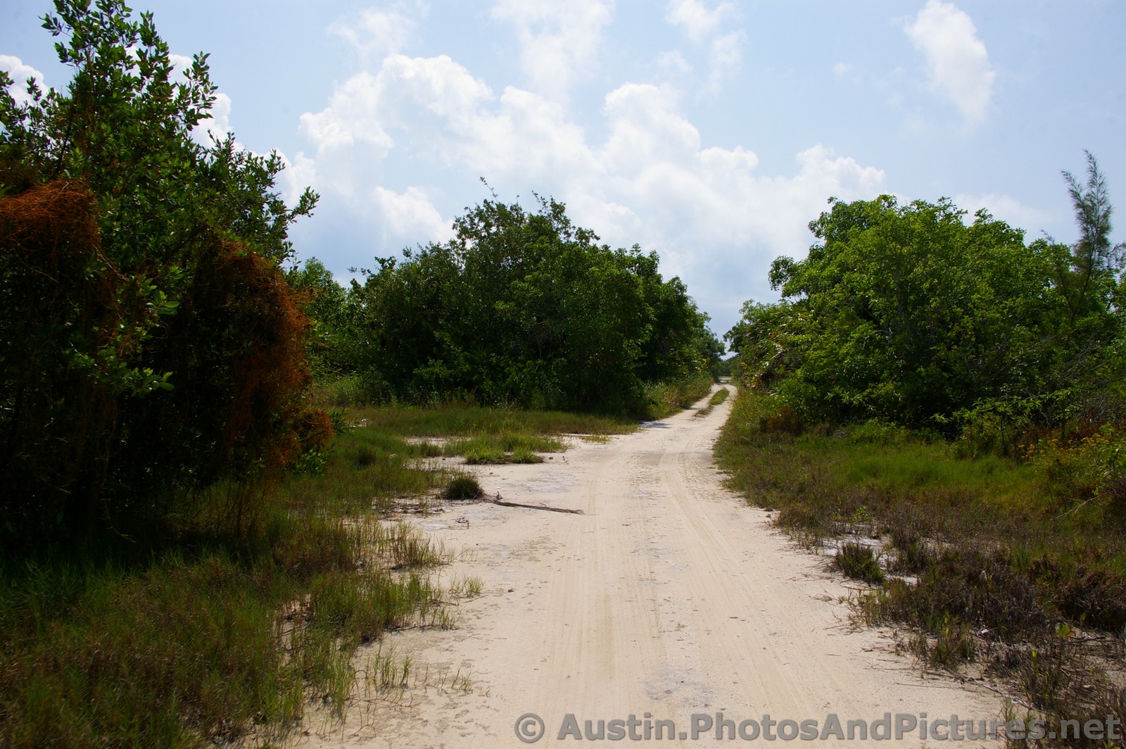 Dirt path at Playa Mujeres.jpg