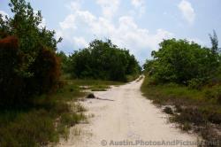 Dirt path at Playa Mujeres.jpg