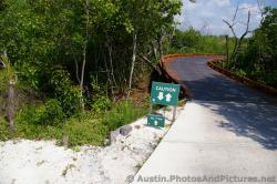 Golf cart path onto bridge towards number 7 tee at Playa Mujeres golf course.jpg