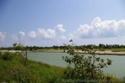 Golf course and Sand trap next to lake at Playa Mujeres Cancun Mexico.jpg