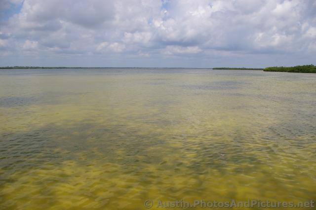 Greenish water of the Playa Mujeres lagoon.jpg
