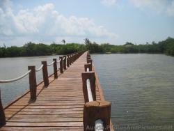 Looking across the Playa Mujeres lagoon bridge.jpg