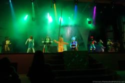 Shrek segment of Gran Bahia Principe Coba show in theater.jpg