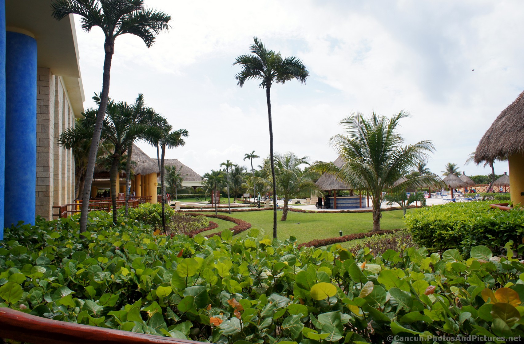Tropical plants and trees at Gran Bahia Principe Tulum.jpg