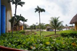 Tropical plants and trees at Gran Bahia Principe Tulum.jpg