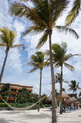 Hammocks hung on palm trees at beach for Grand Bahia Principe Tulum.jpg