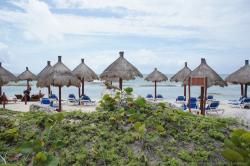 Iguana at Grand Bahia Principe Tulum beach.jpg