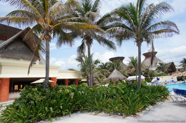 Palm trees at beach of Grand Bahia Principe Tulum.jpg