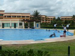 Dolphins poke their heads out of water at Dolphinaris at Gran Bahia Principe Resort.jpg